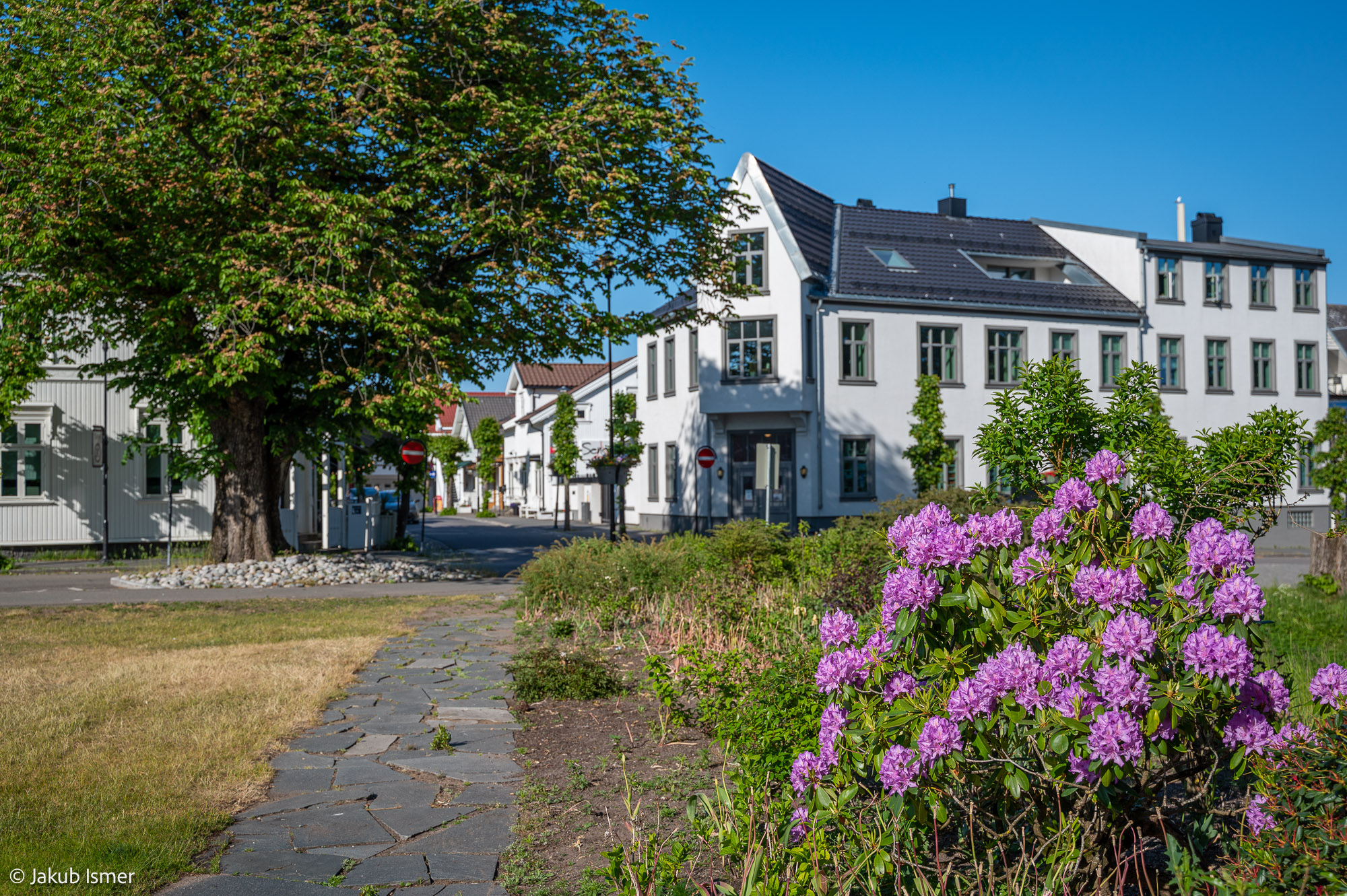 Artikkelbilde til artikkelen SKK-kunstnere i og rundt STAVERN SENTRUM